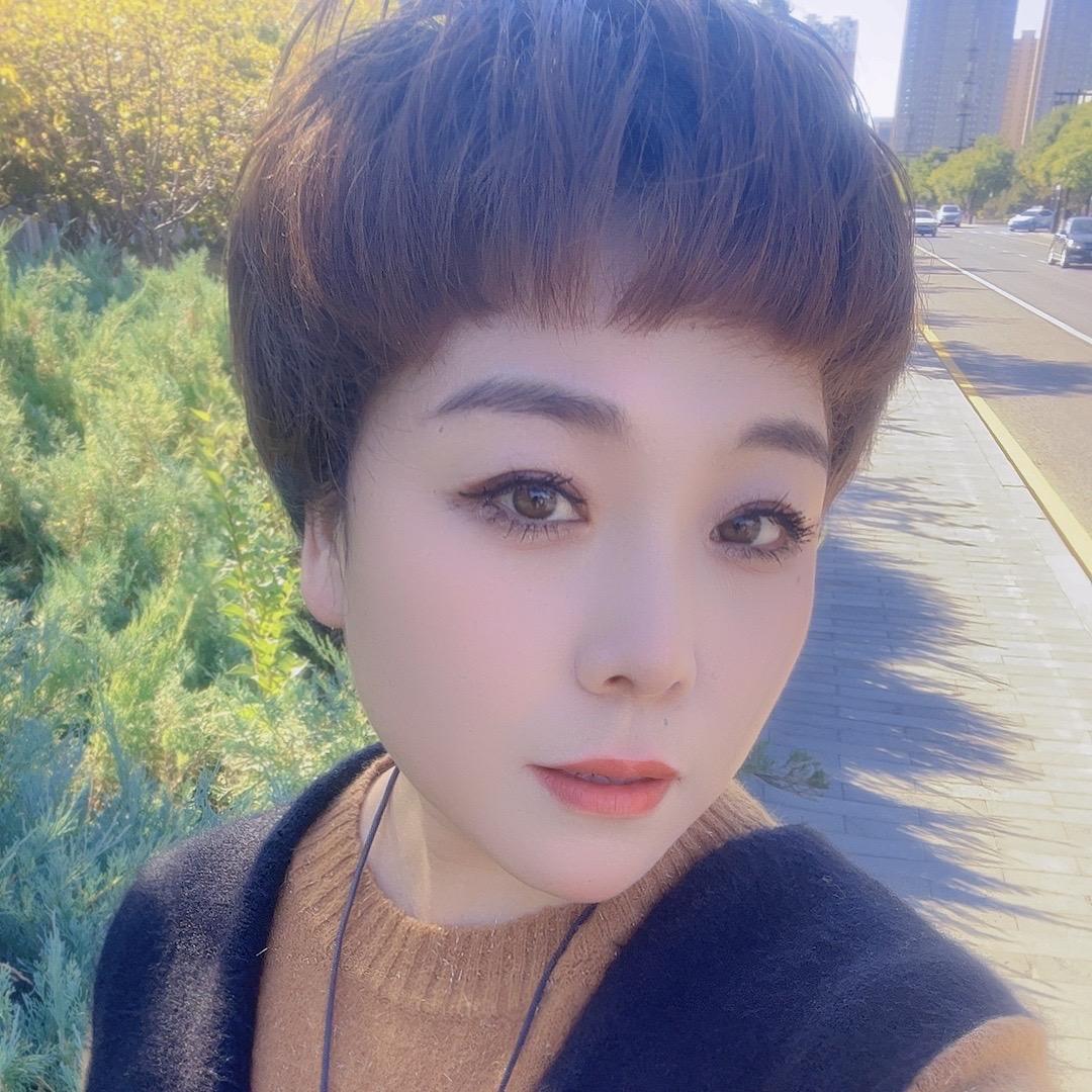 张家口光伏发电  储能  新能源丹子