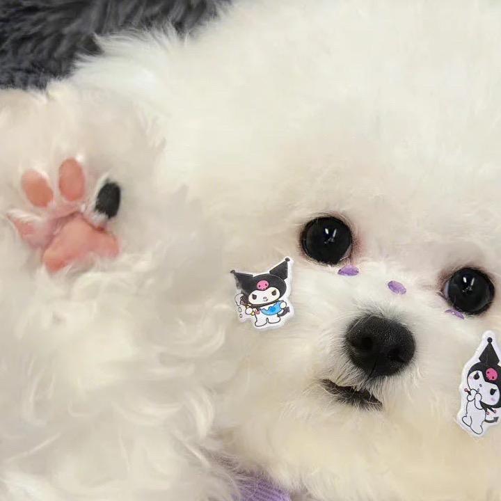 🍭妍妍小窝ddd 🍭