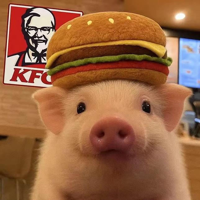 ～猪咪～（减肥版）