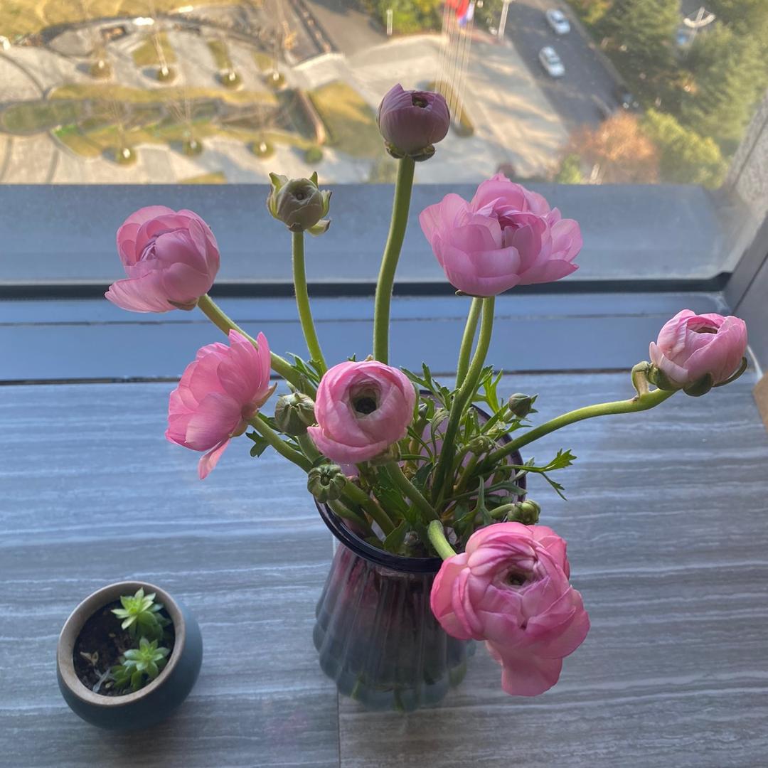 小番茄呀