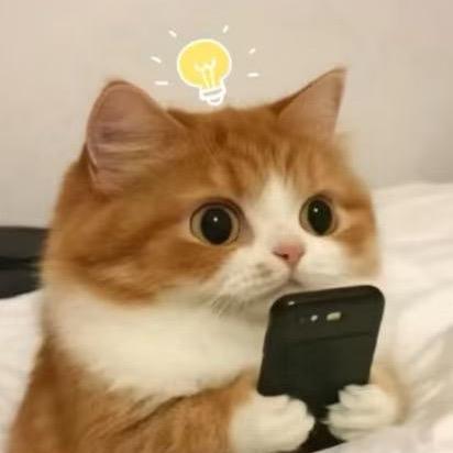小王王吖