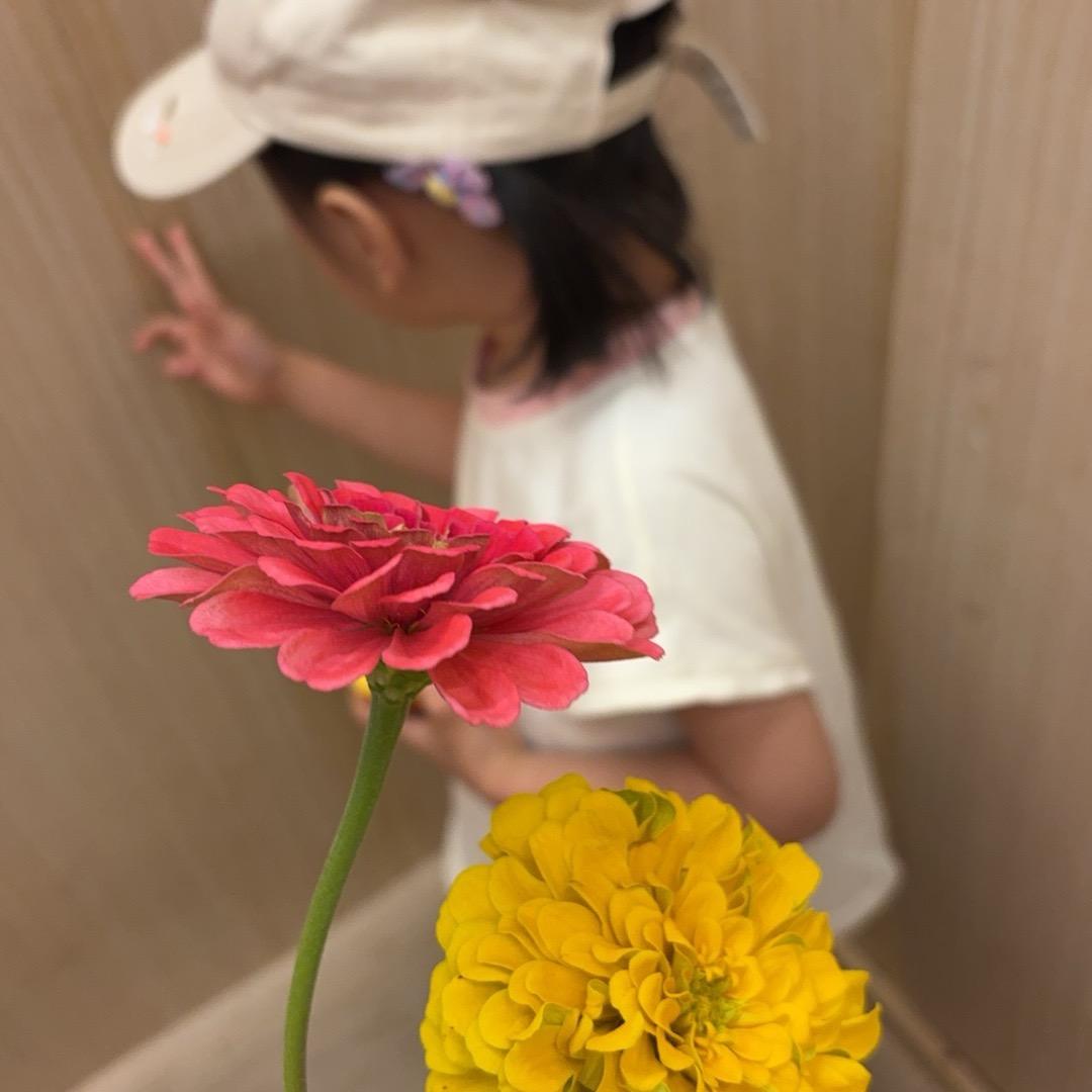 小蜜牛