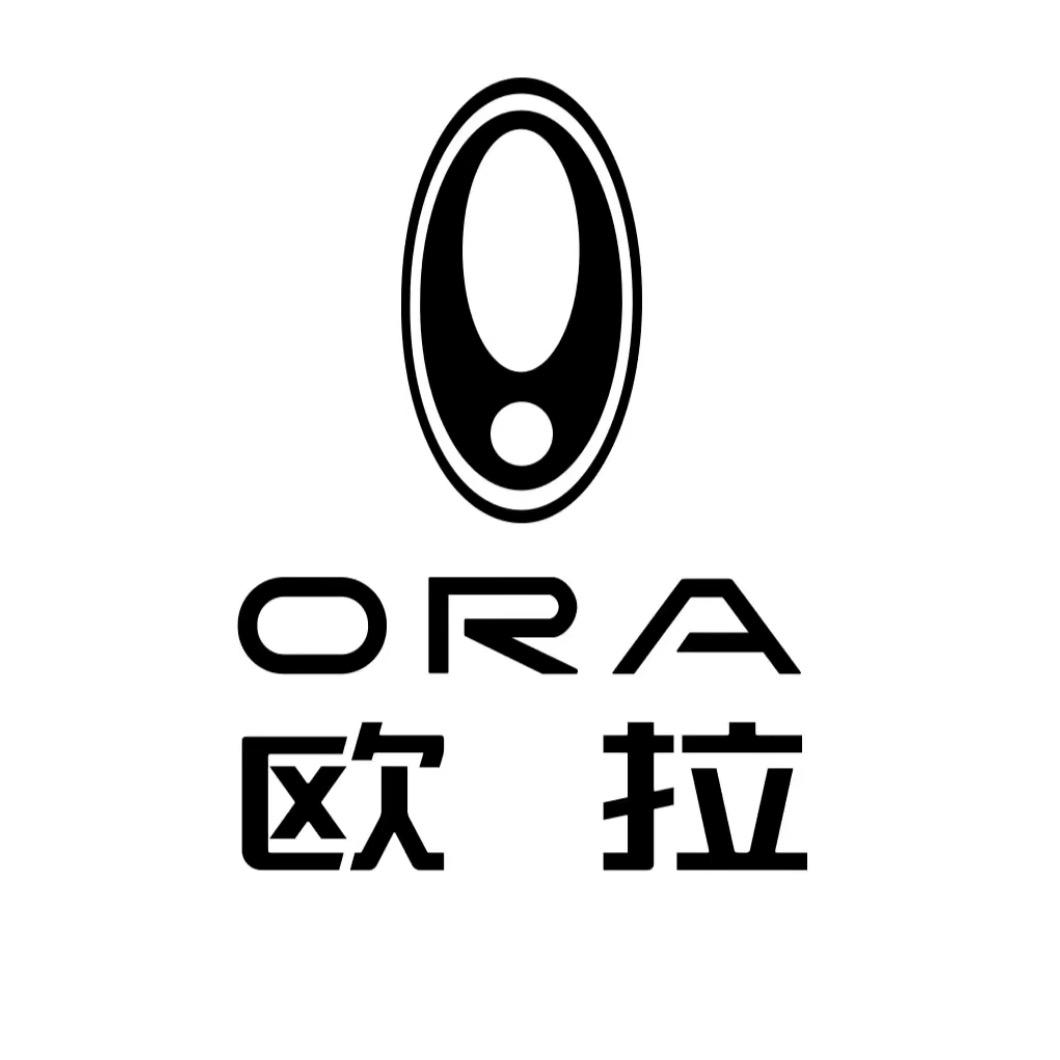 欧拉-小武说车