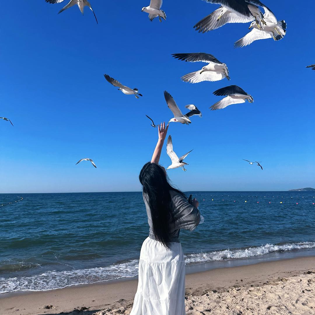 🦋  解
