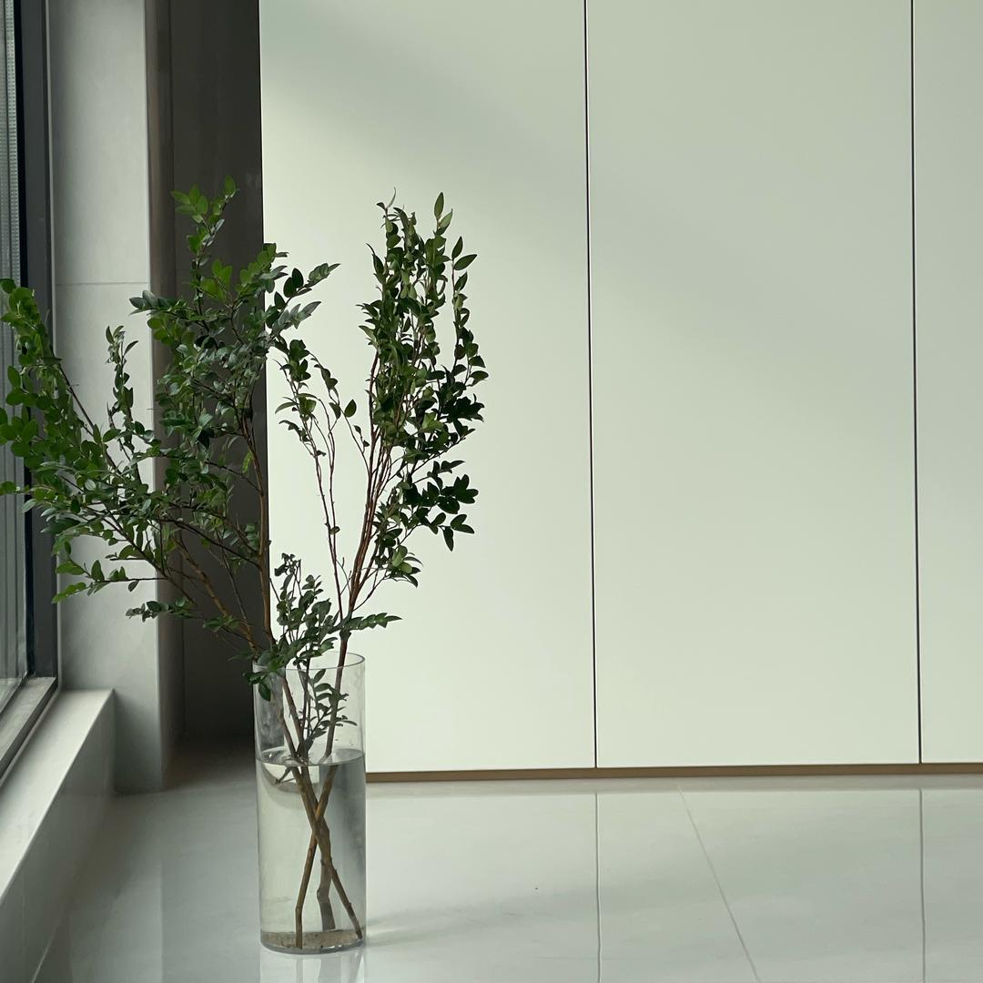 啉小呆的家🏠（软装中）