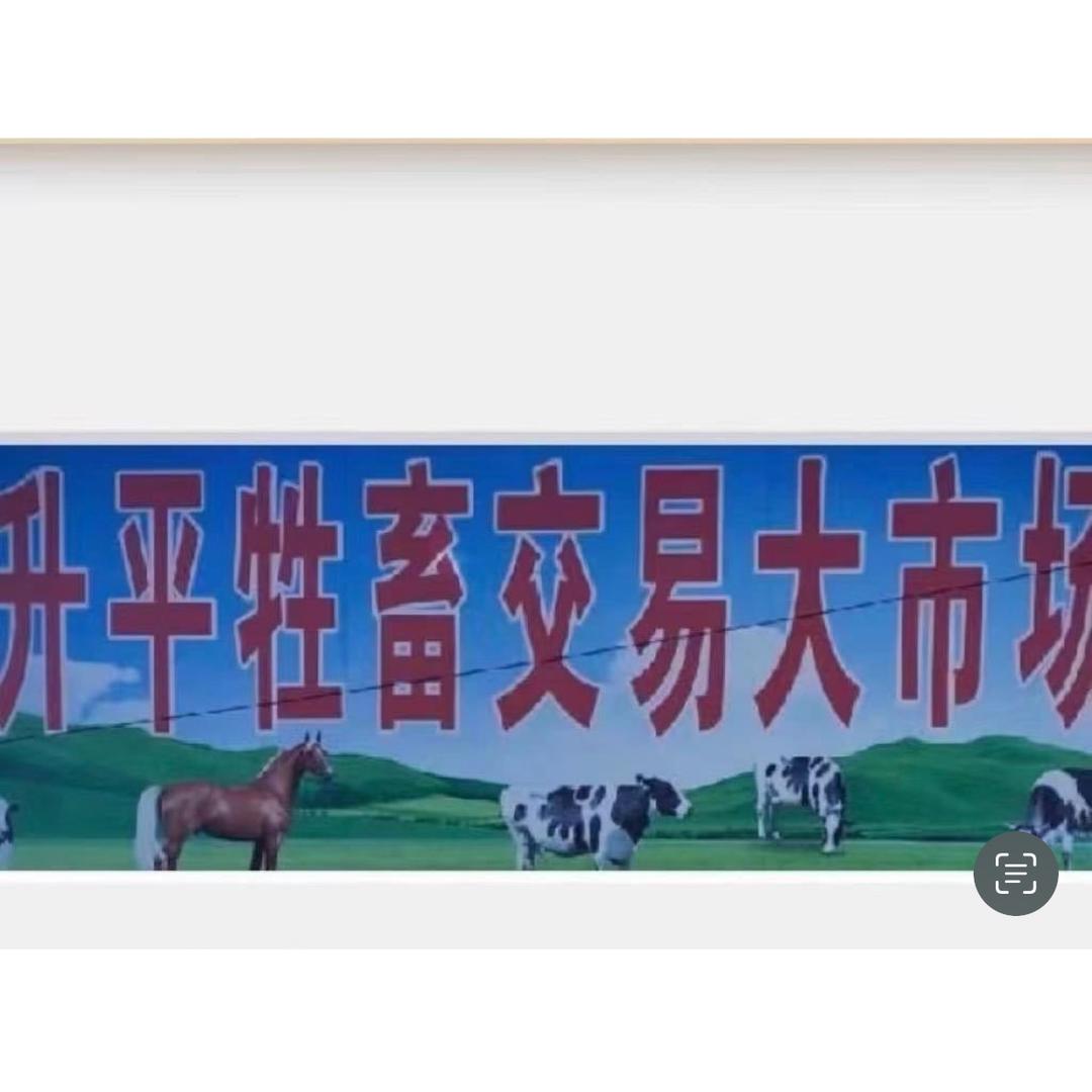 安达升平牛市