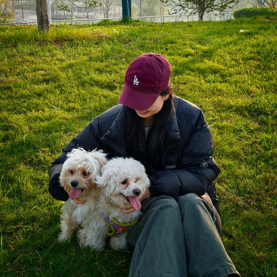 一颗锦鲤蛋（猫狗双全）