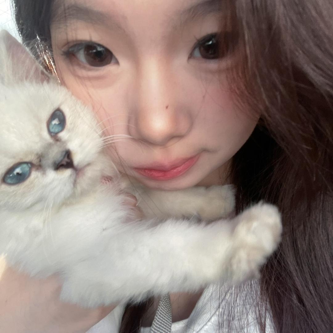 小马宝莉~