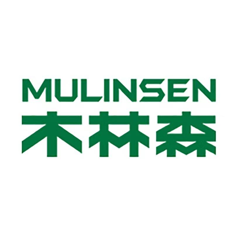 木林森铭啸男鞋专卖店