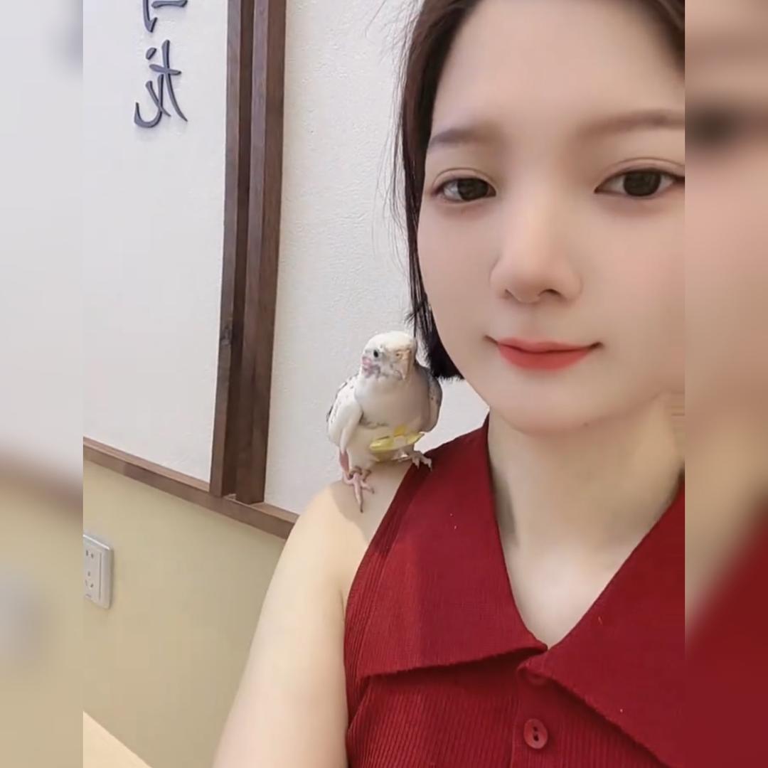 桃子🍃