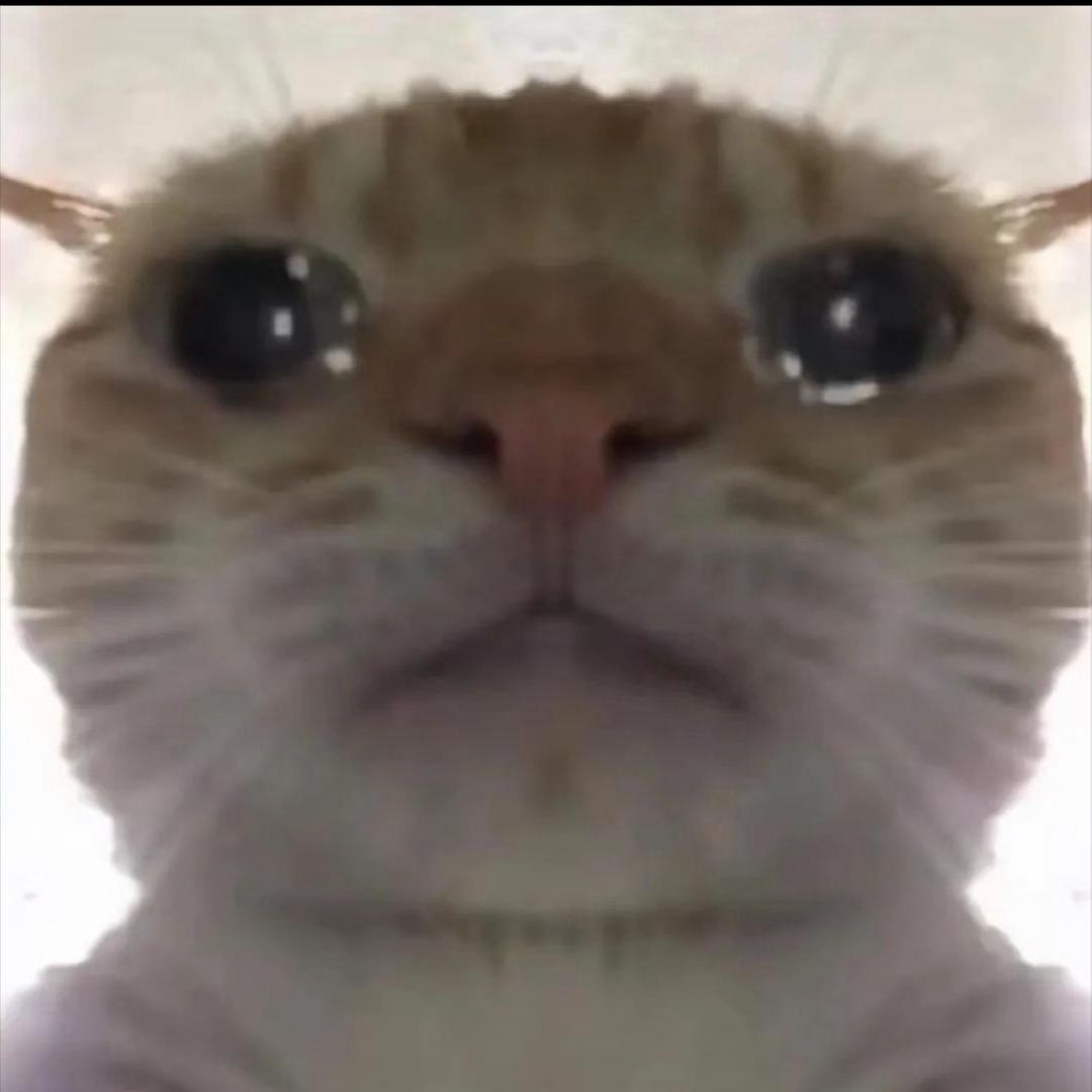 烤红薯