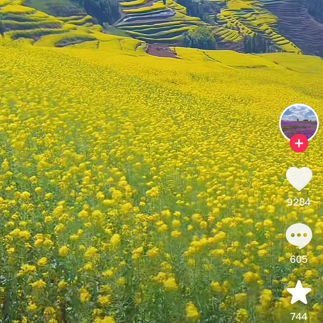 喜喜
