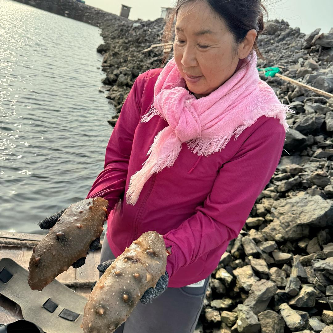 海参奶奶沙山岛