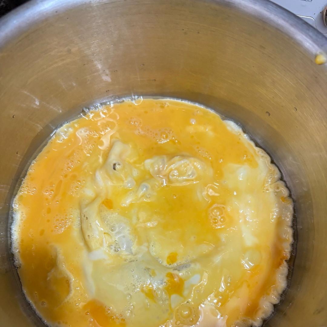 喵喵迢迢的朝朝