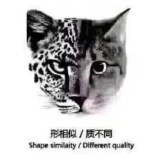 布衣法曹