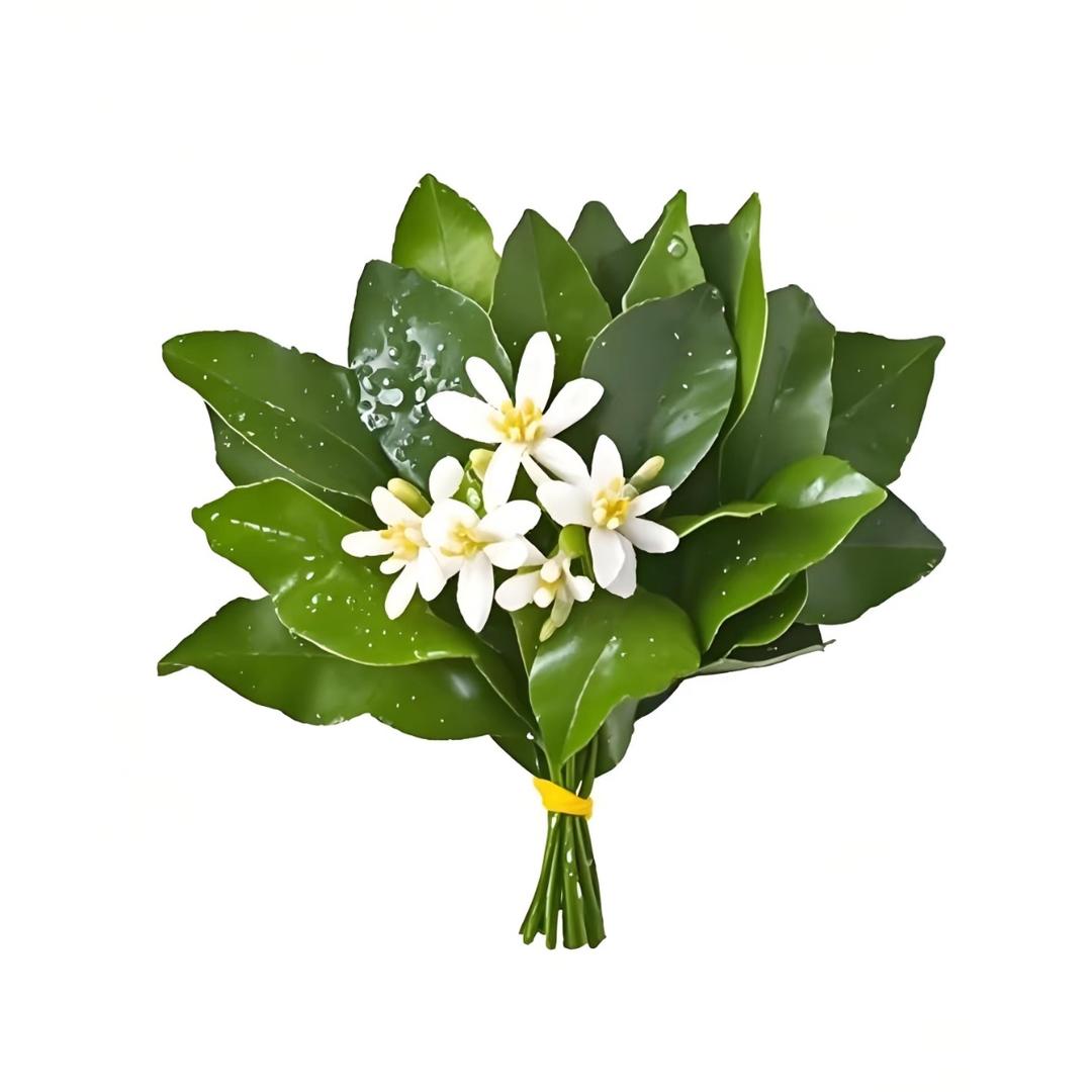 运气爆棚的洋芋🥔