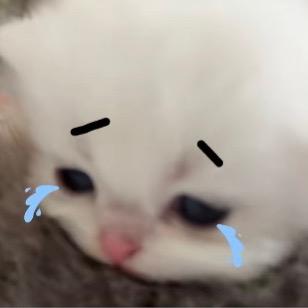 不跟小猪讲话