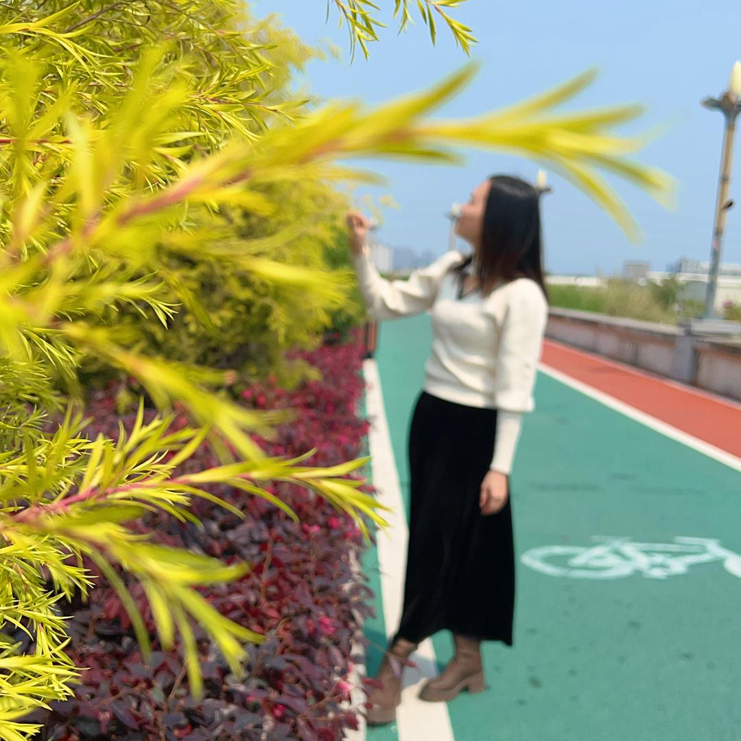 📲金诚手机