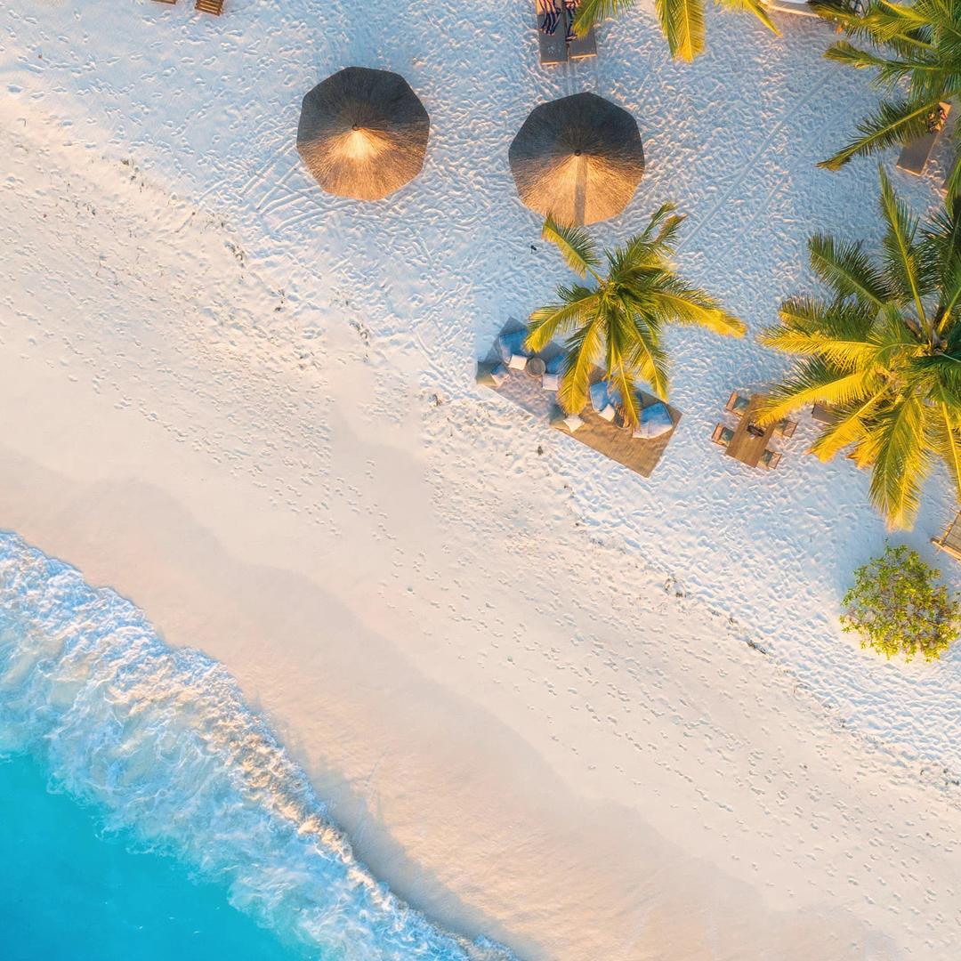 疯狂吃瓜的刘大胆