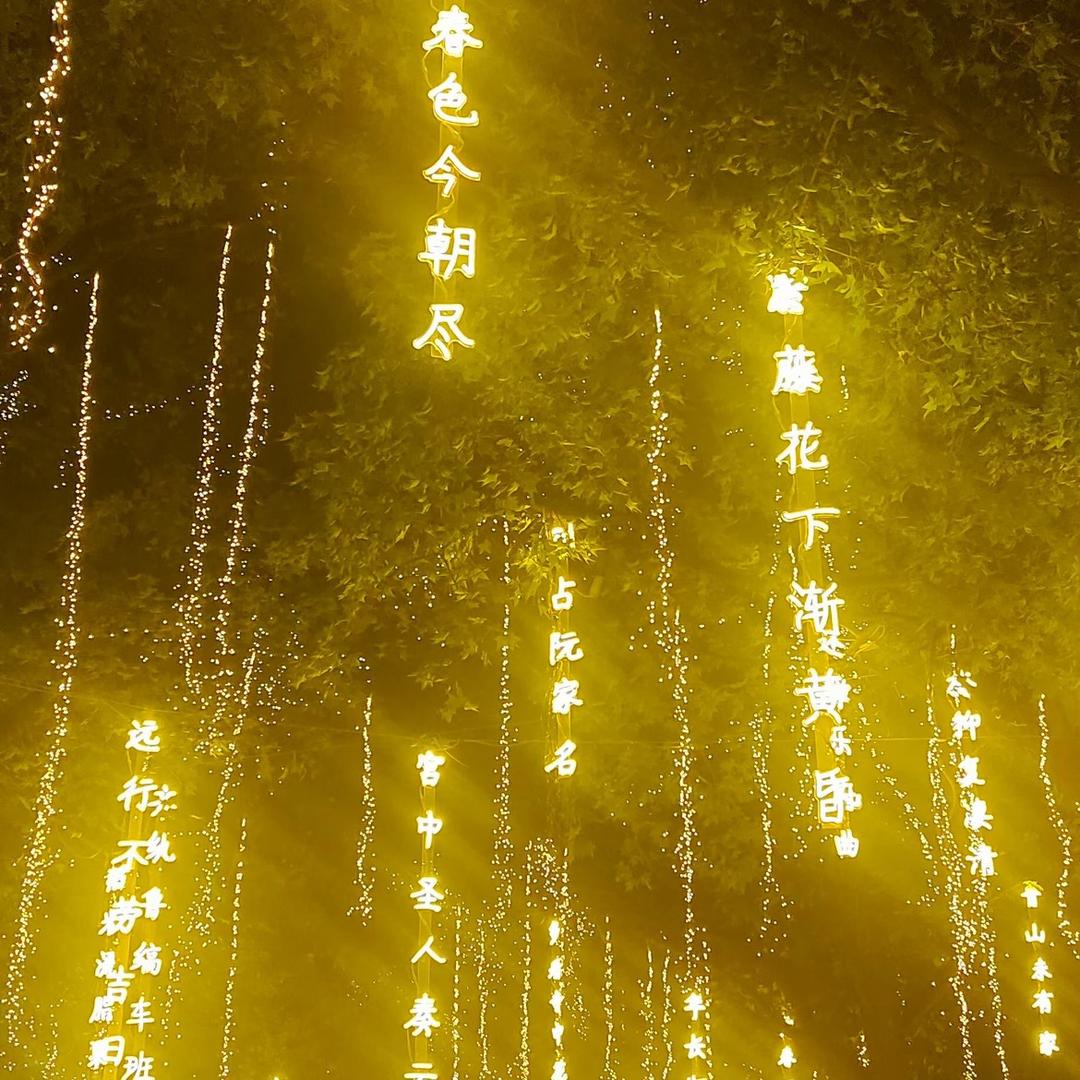 思念成殇