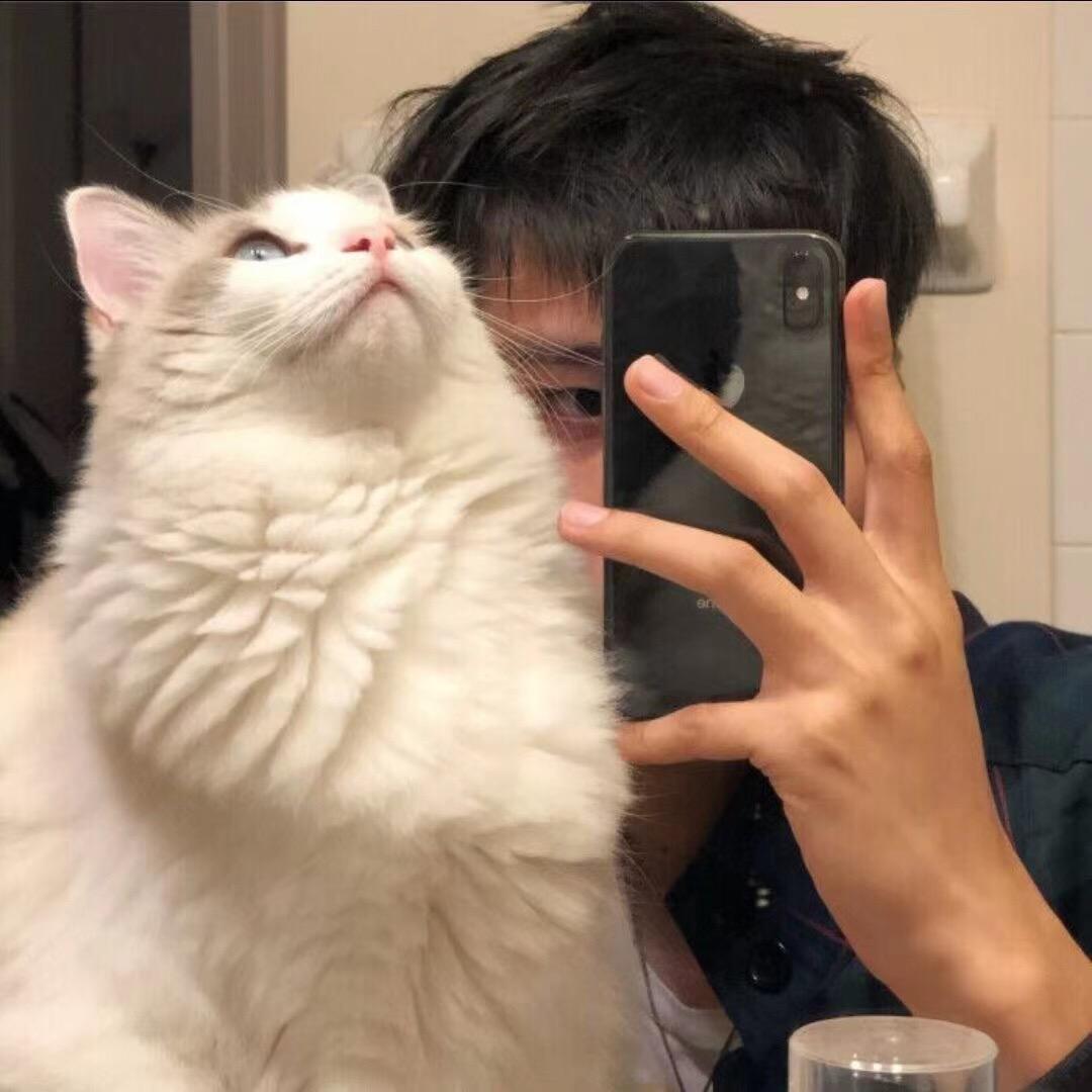 光光