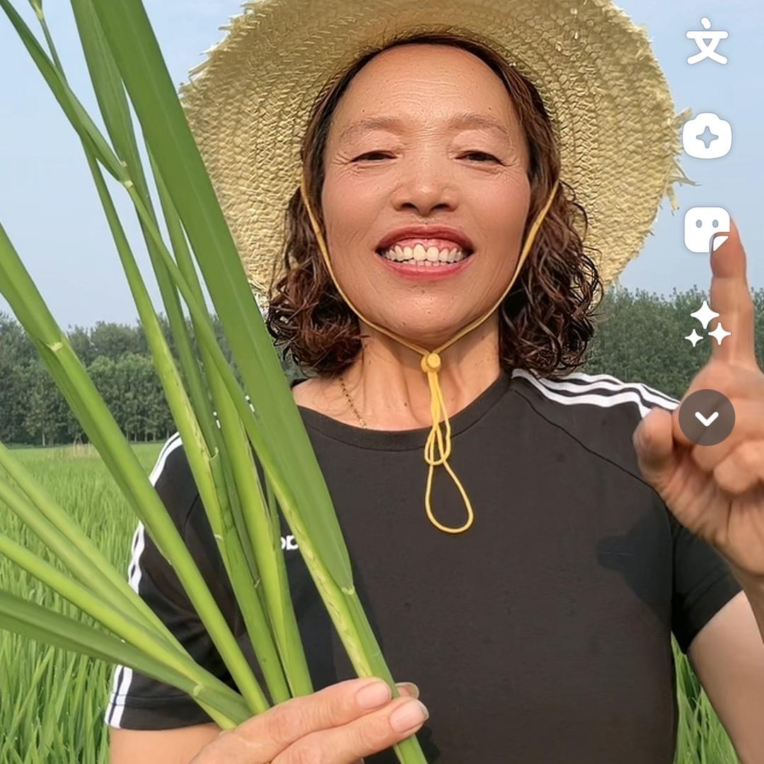 八路镇赵春花农资