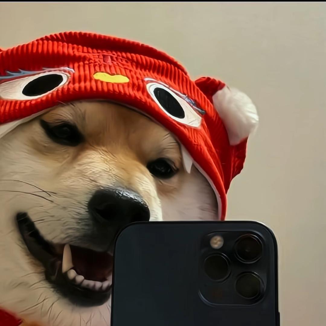 杨贵平.