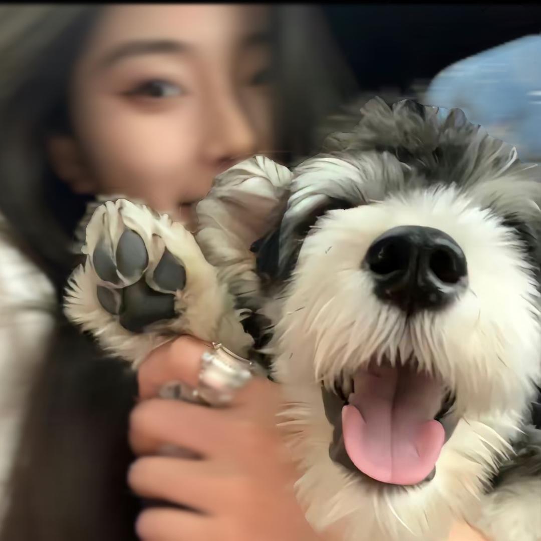 張.