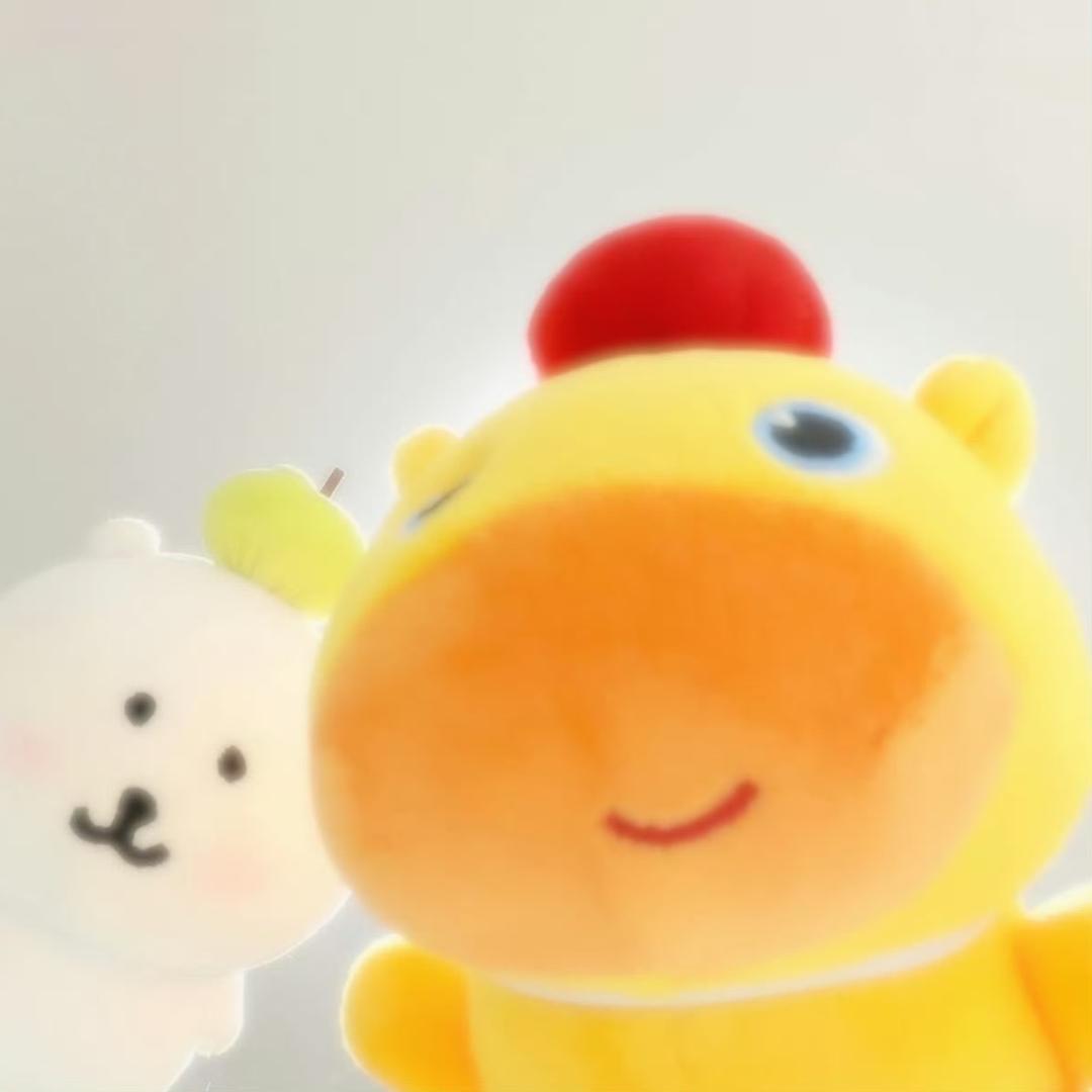 龟龟大王