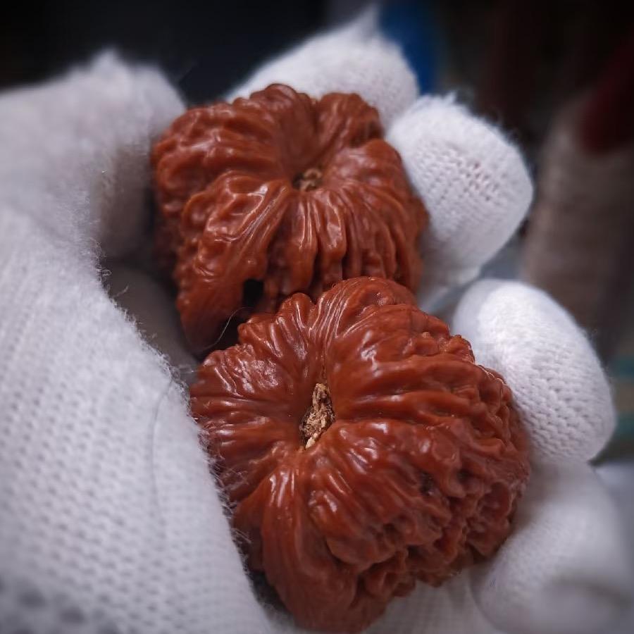 聚元文玩核桃贰店