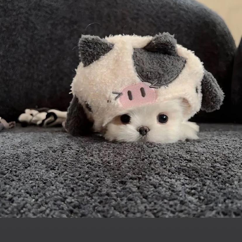 赴野商贸有限公司-小王