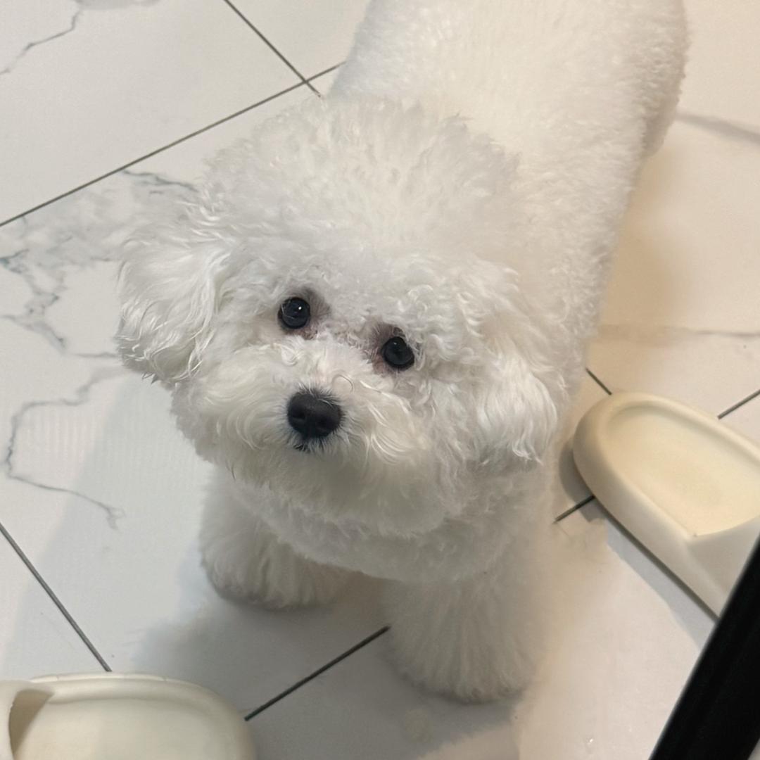 小鼻鼻🐽