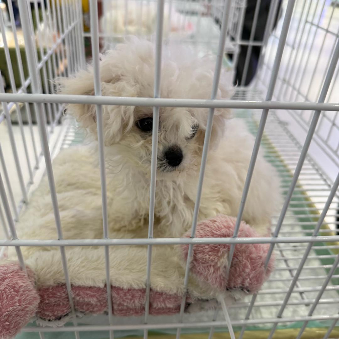 天诺有情天亦老