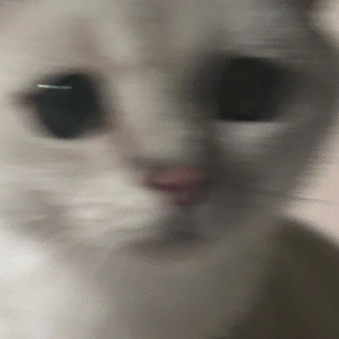 蜜桃乌龙终结者