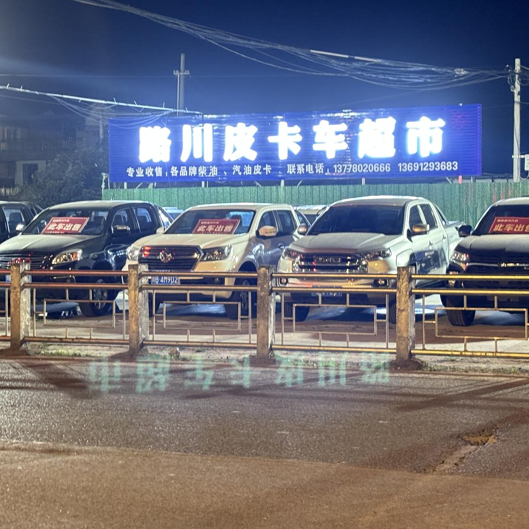 绵阳路川只做皮卡