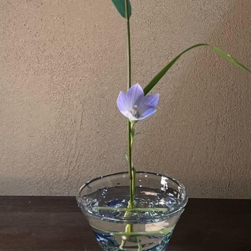昵称 🈚️