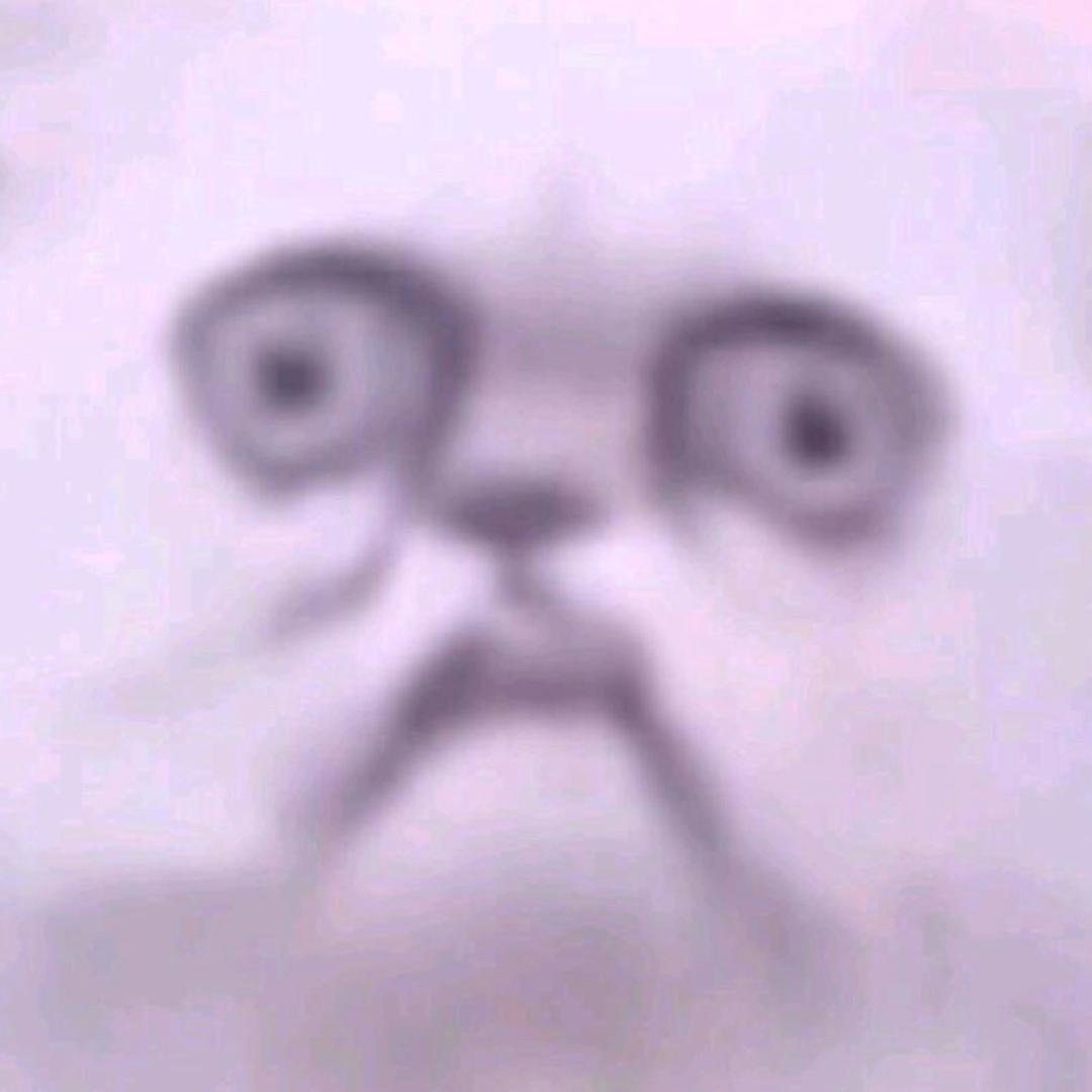 宝格丽的猫