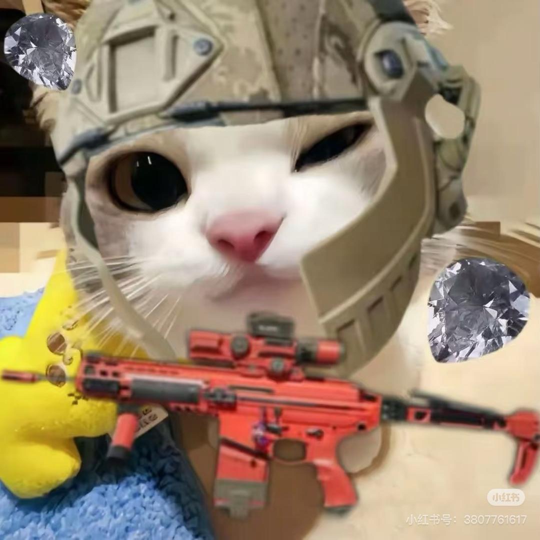 普通鼠(三角洲跑刀）