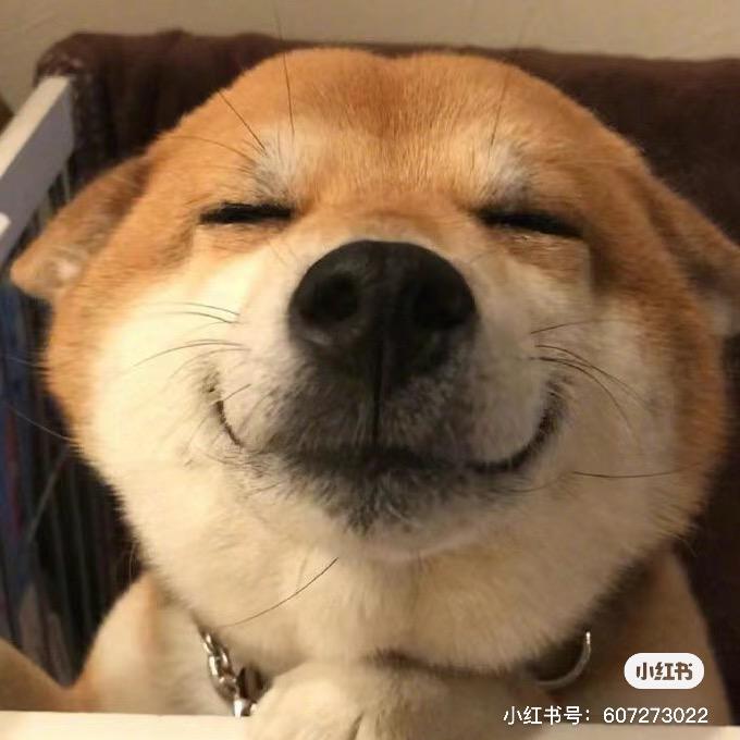 小明🙉