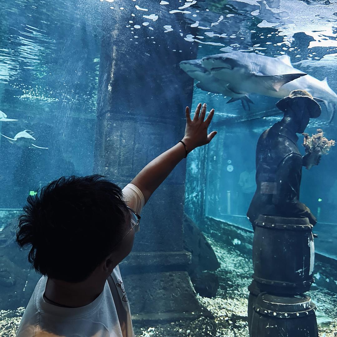 雾点水族精品店