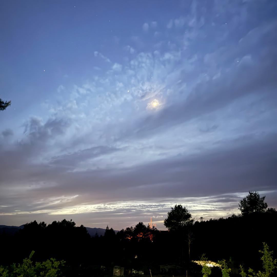 ࿐้：ღ᭄余笙ꦿꦿ࿐้: