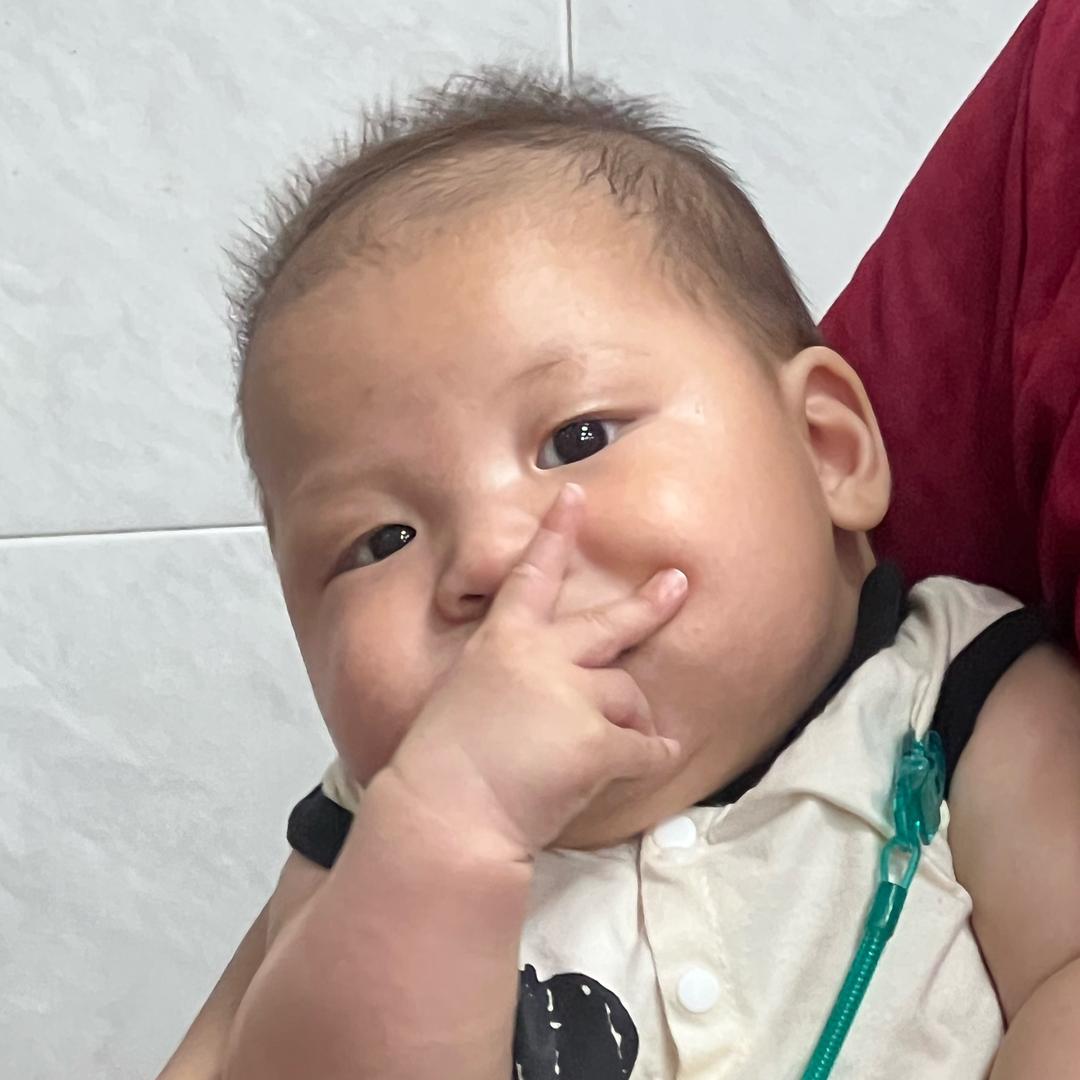 小铉铉成长记