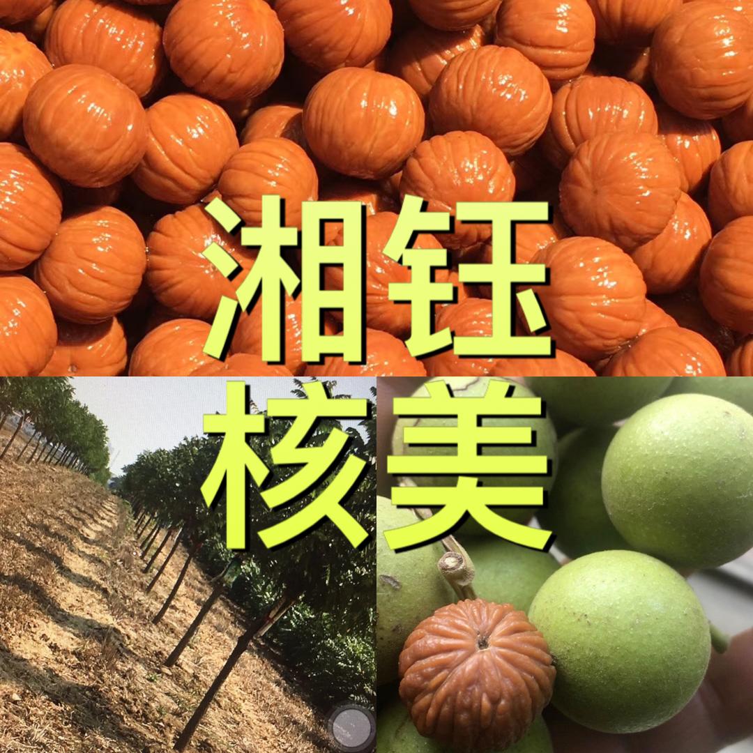 郑州湘钰聚宝盆猴头核桃店铺