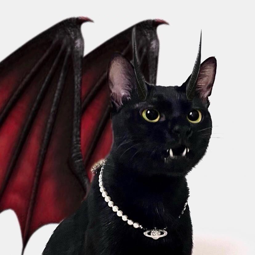 ZOE（西昌穿孔师）