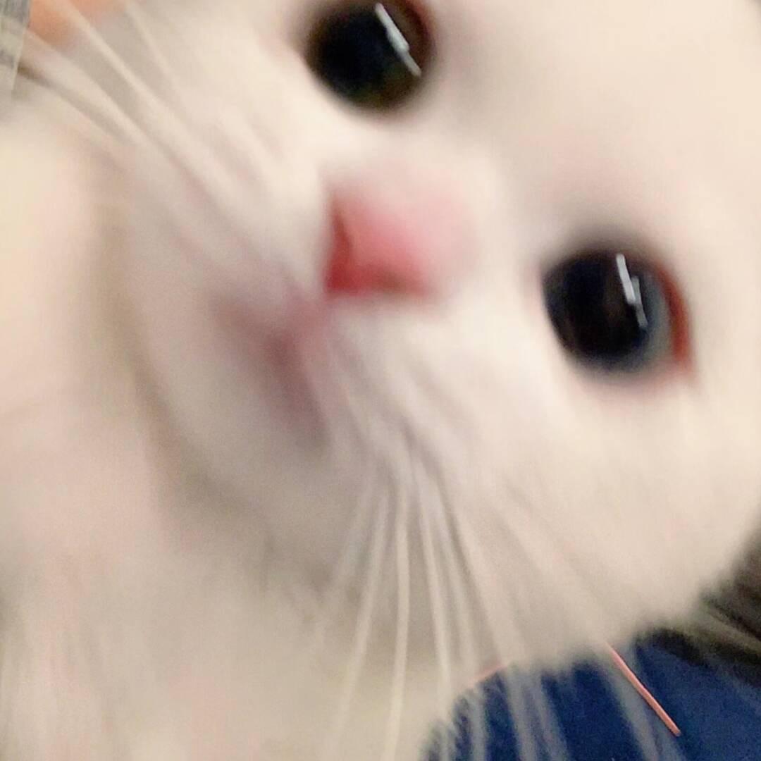 会记得我嗎.