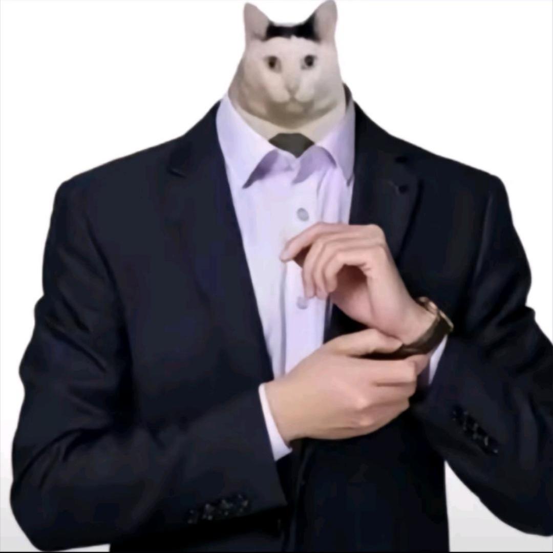 胖宝宝