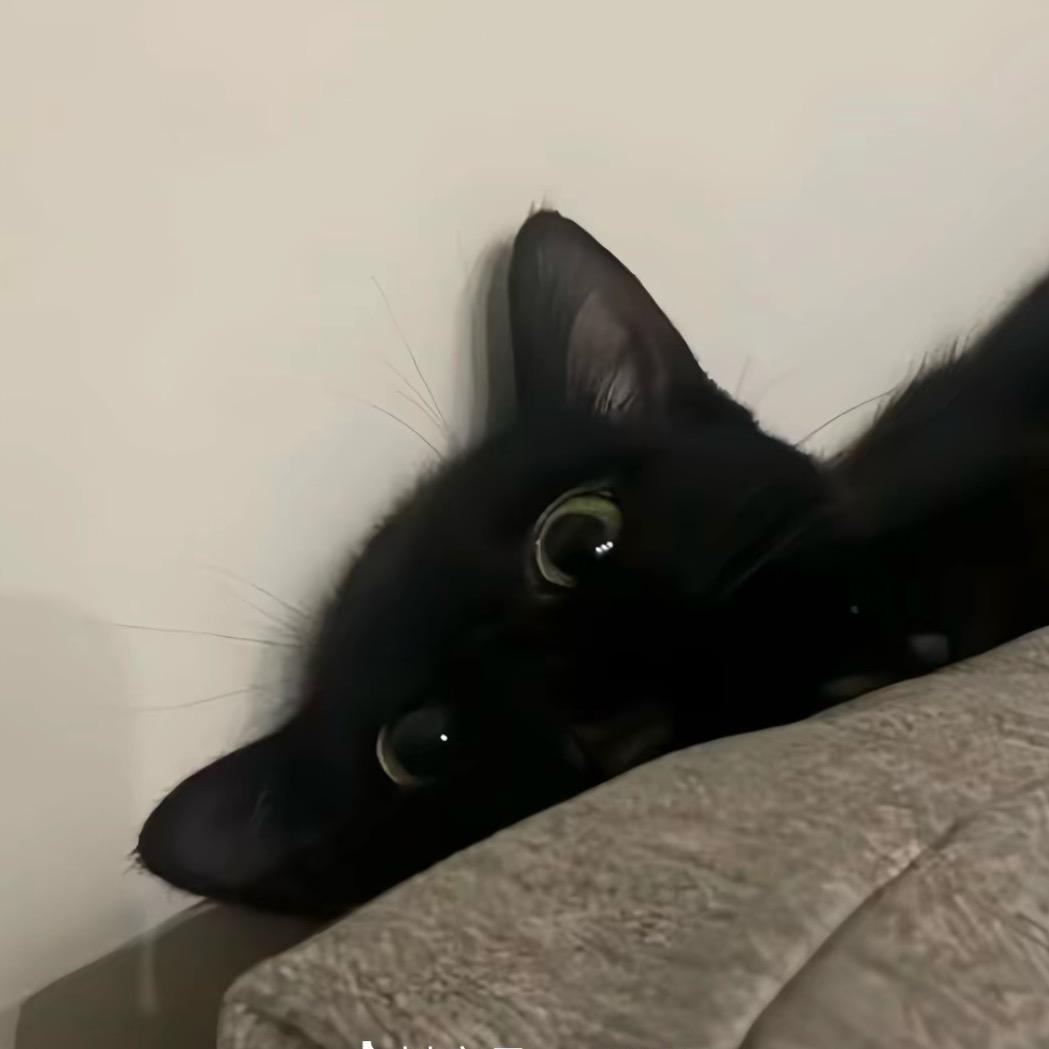 招财猫^•͈༝•^ฅ