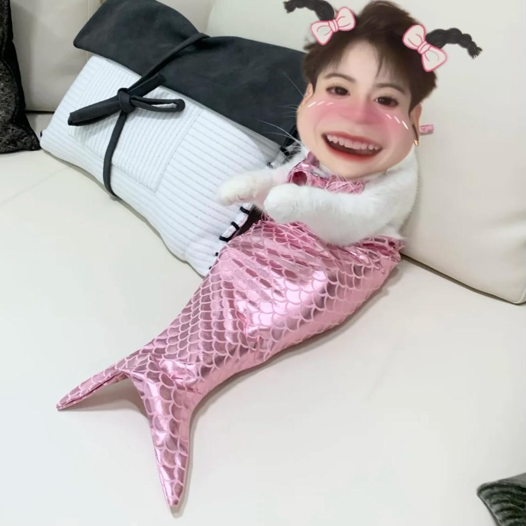 瑶瑶烦烦🎅🏻