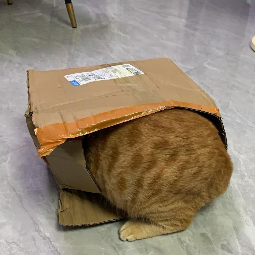 小菊家长