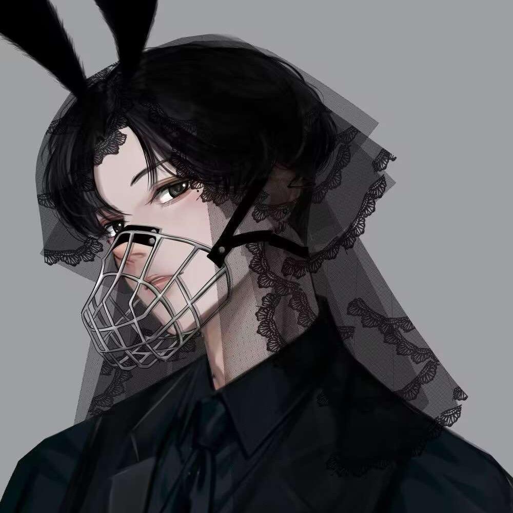 经常失眠的猫
